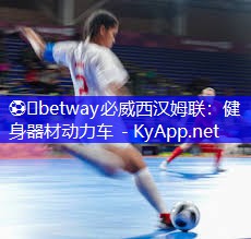 ⚽️betway必威西汉姆联:健身器材动力车