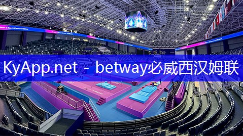 ✅ betway必威西汉姆联:乒乓球台共多少个球拍啊