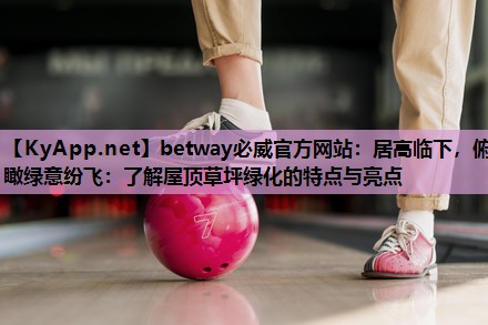 betway必威官方网站:居高临下,俯瞰绿意纷飞:了解屋顶草坪绿化的特点与亮点