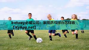 betway必威公司:家用乒乓球台怎样收