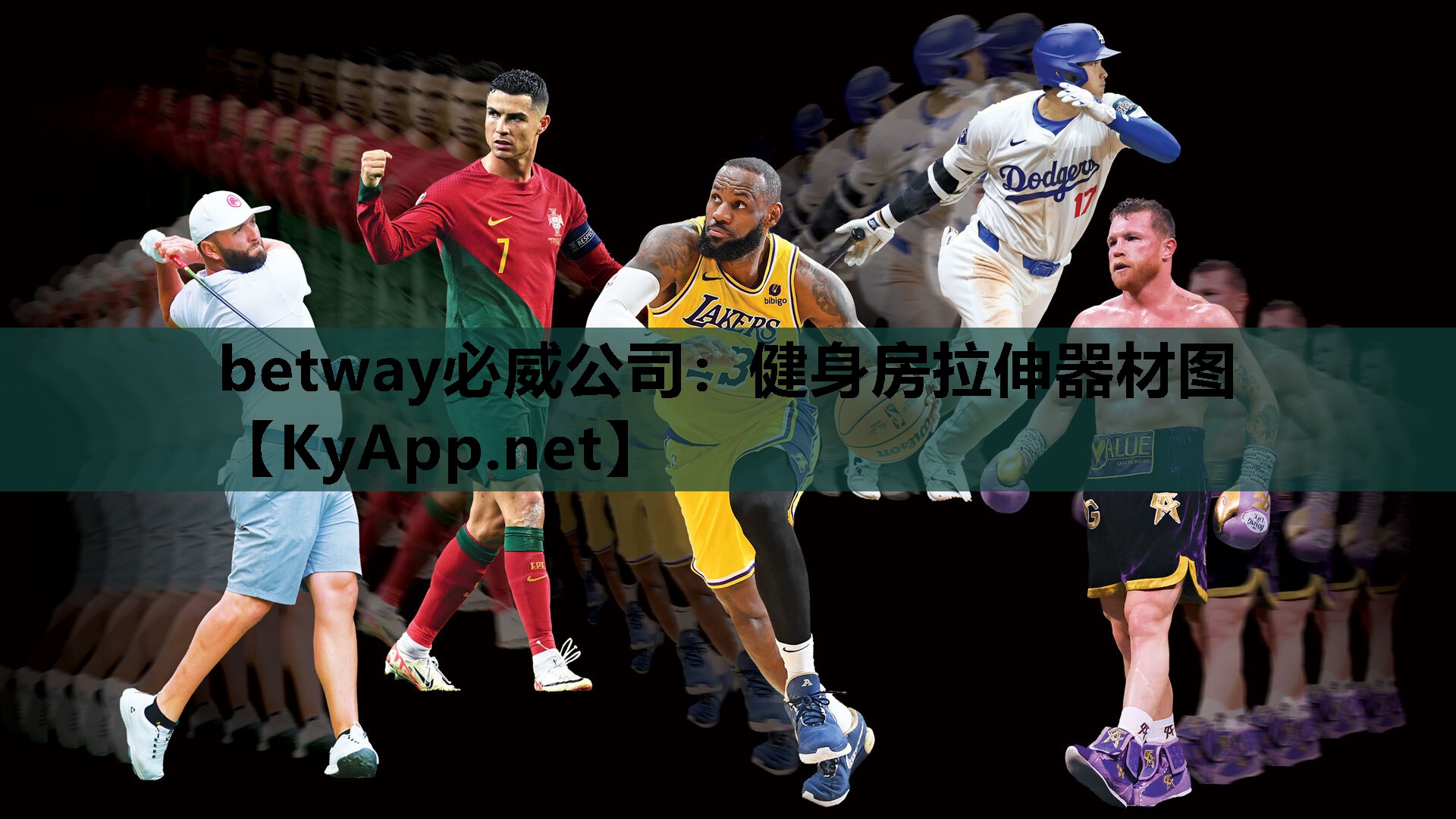 betway必威公司:健身房拉伸器材图