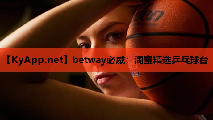 betway必威:淘宝精选乒乓球台