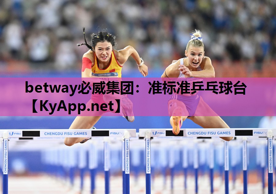 betway必威集团:准标准乒乓球台