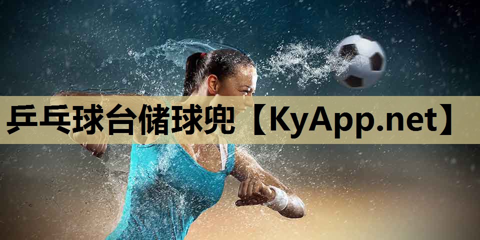 乒乓球台储球兜