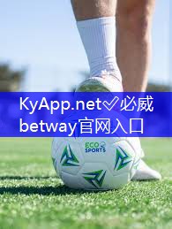 创新训练！室外体育云梯器材为您带来健康挑战