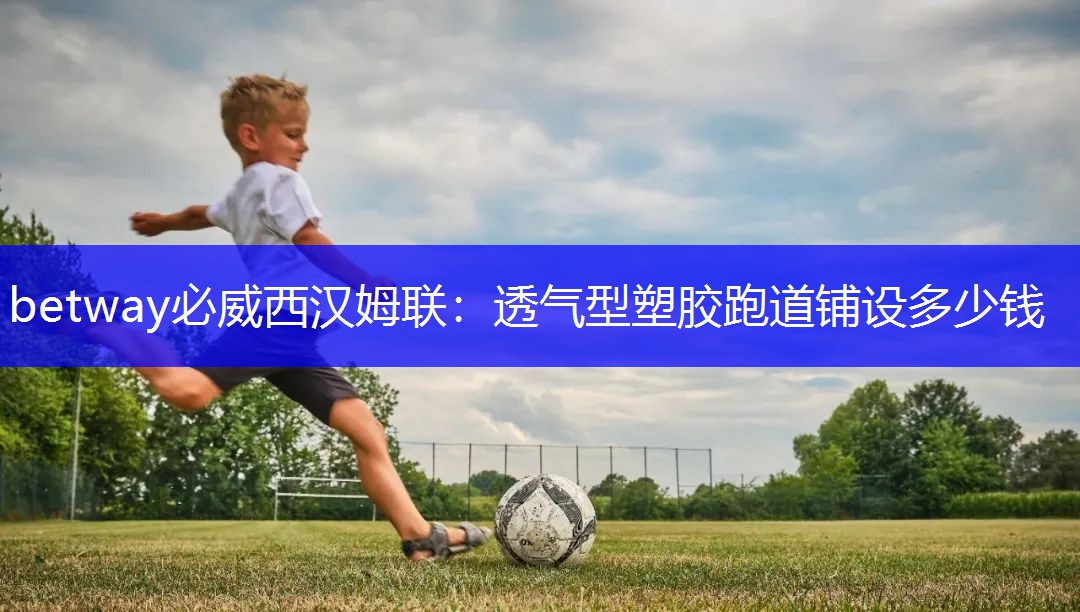 透气型塑胶跑道铺设多少钱