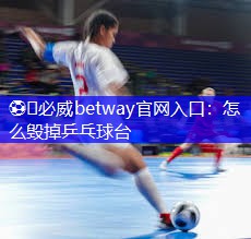 怎么毁掉乒乓球台