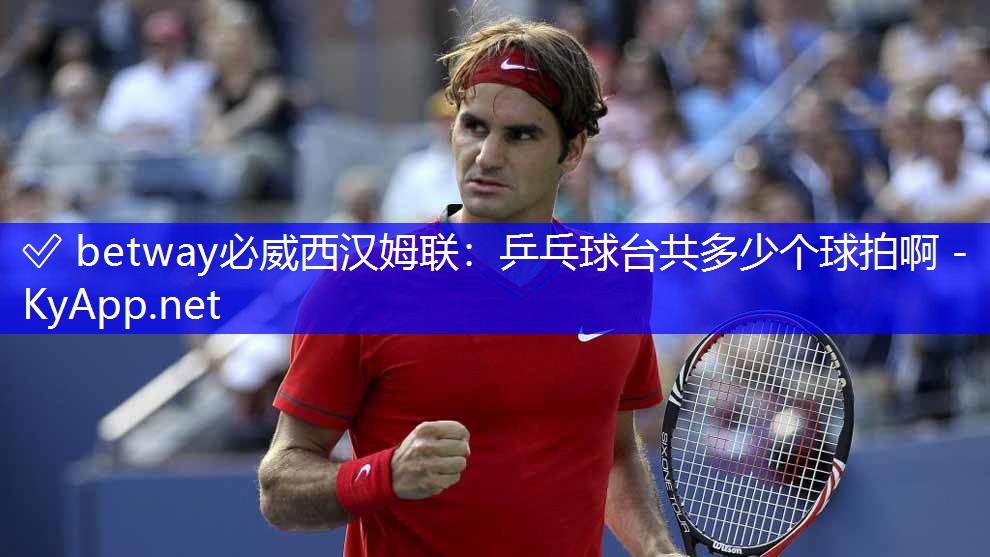 乒乓球台共多少个球拍啊