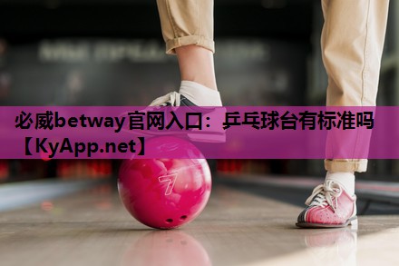 乒乓球台有标准吗