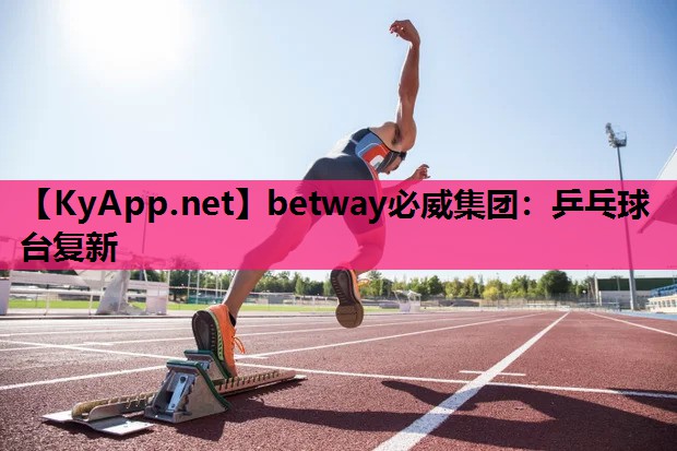 乒乓球台复新