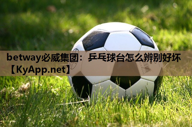 乒乓球台怎么辨别好坏