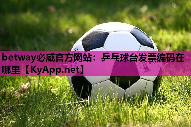 乒乓球台发票编码在哪里