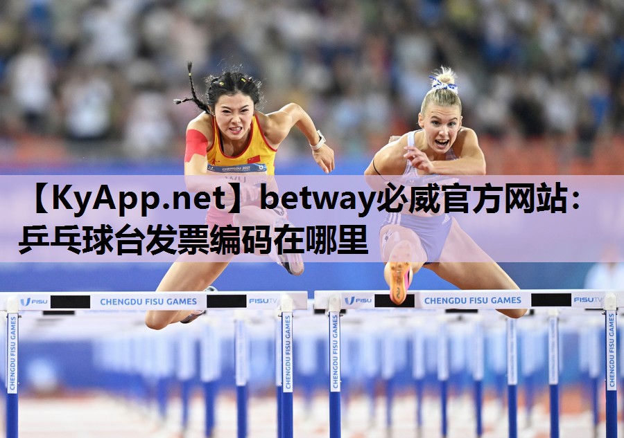 乒乓球台发票编码在哪里