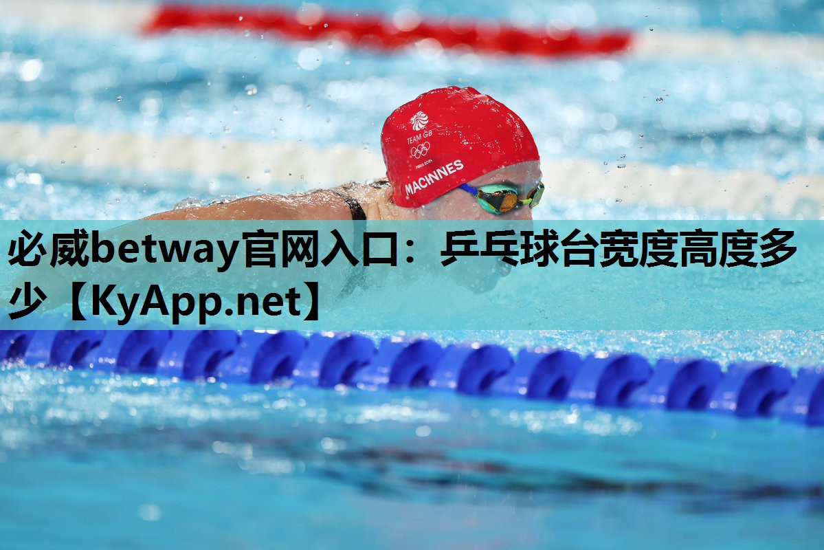 乒乓球台宽度高度多少