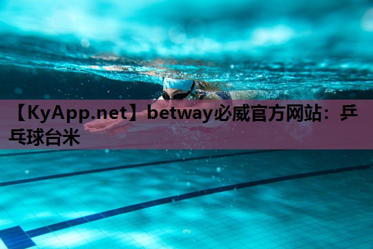 乒乓球台米