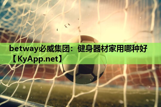 健身器材家用哪种好