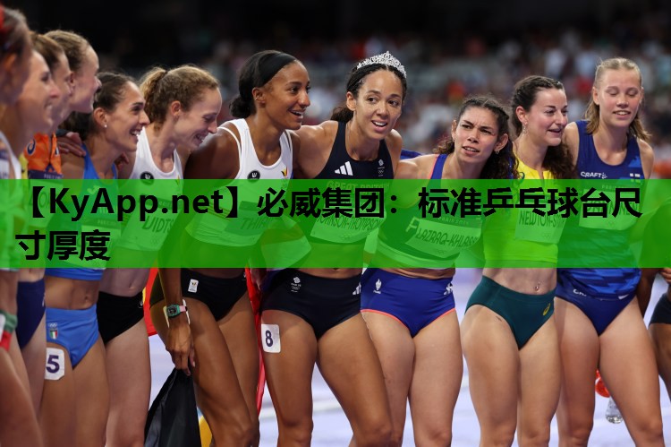标准乒乓球台尺寸厚度