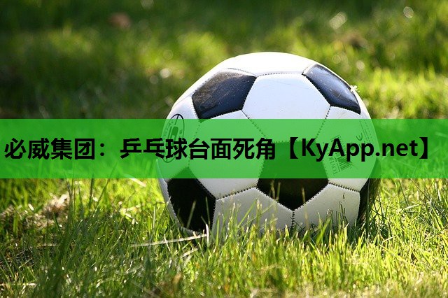 乒乓球台面死角