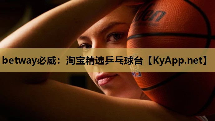淘宝精选乒乓球台