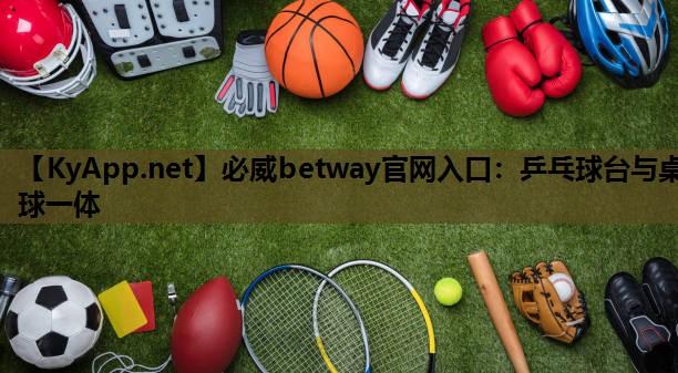 乒乓球台与桌球一体