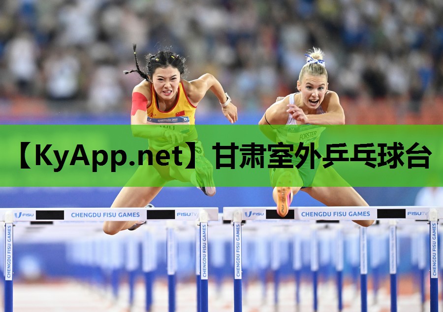 甘肃室外乒乓球台